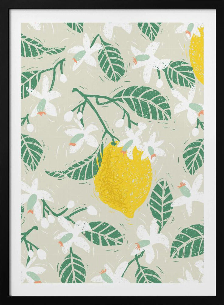 Lemon tree blossoms | Poster