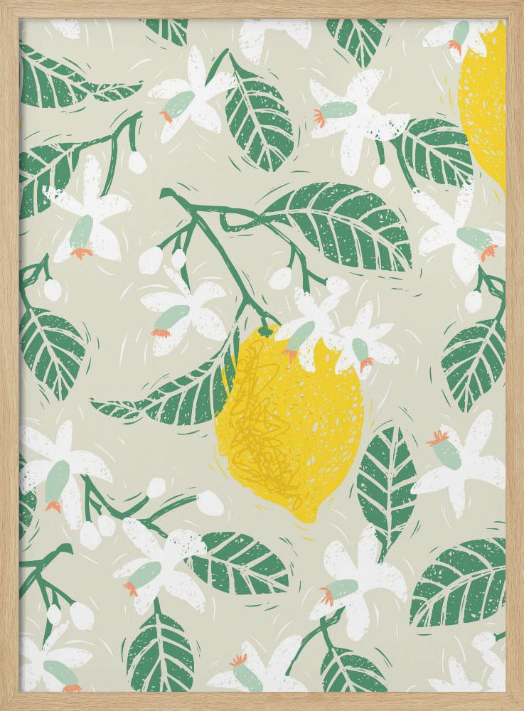 Lemon tree blossoms | Poster