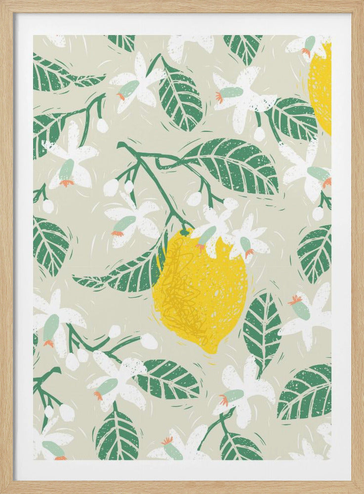 Lemon tree blossoms | Poster