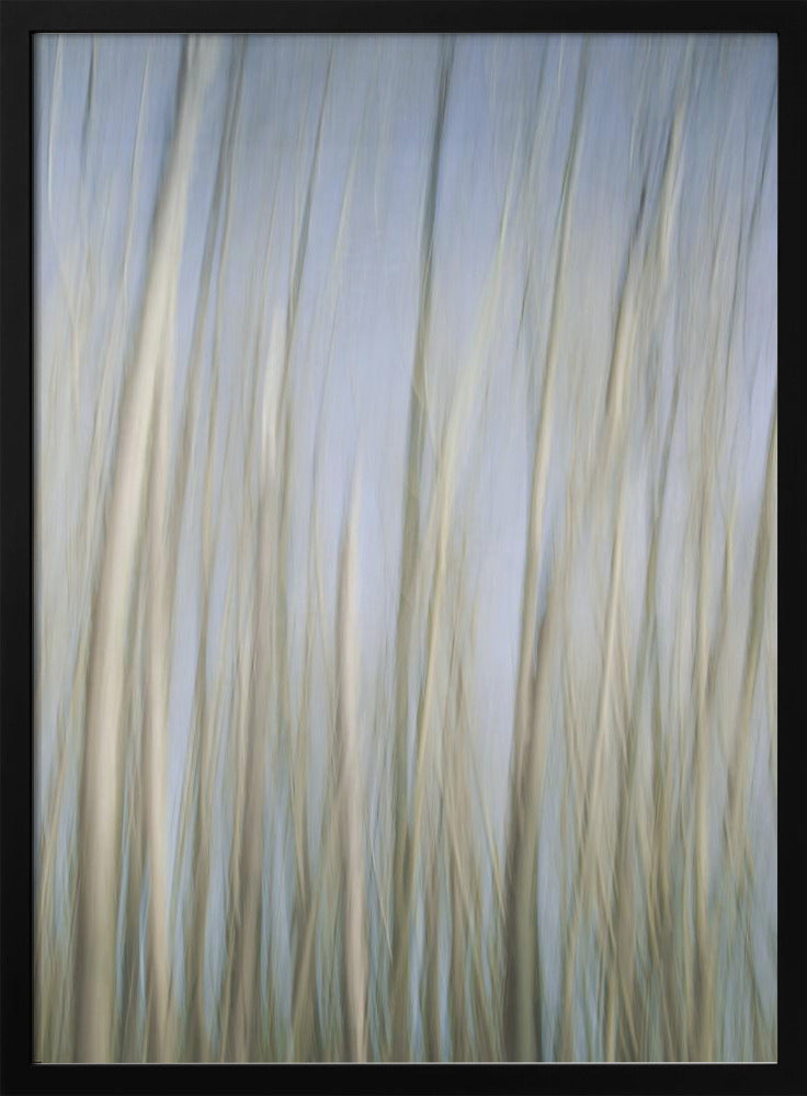 Whispering Trees | Poster