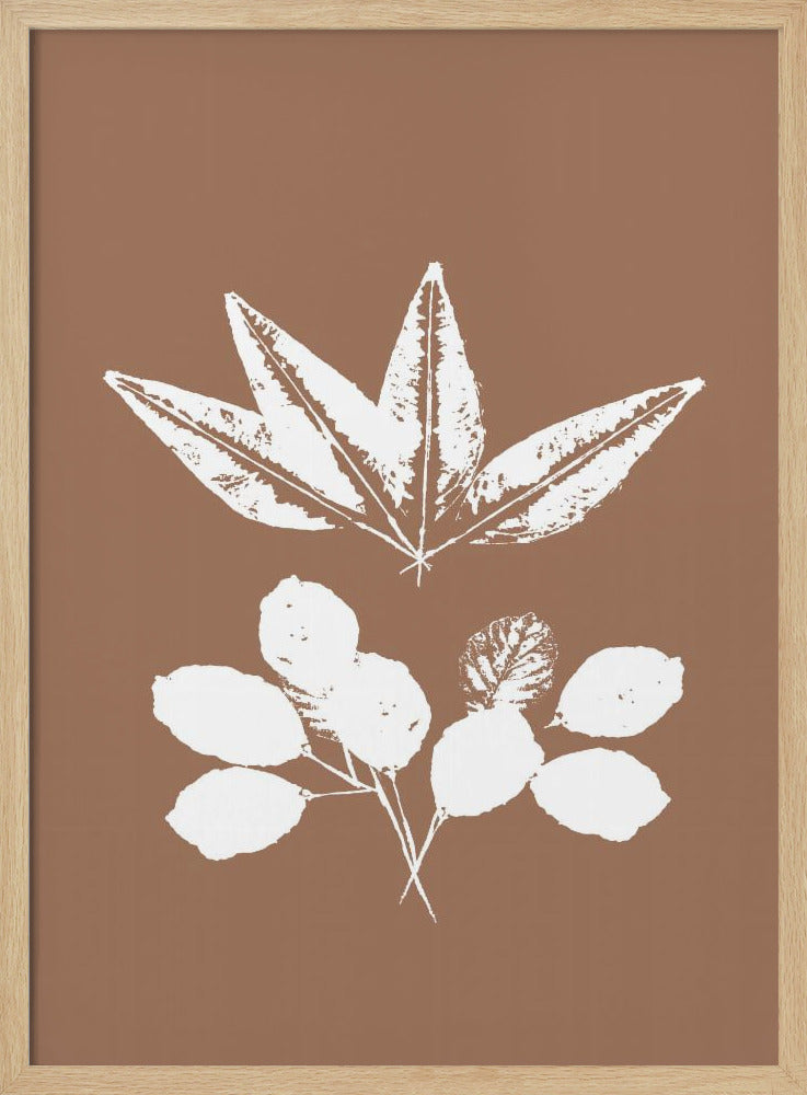 Botanical Silhouettes | Poster