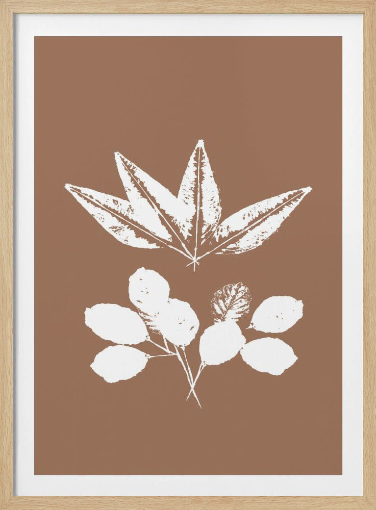 Botanical Silhouettes | Poster