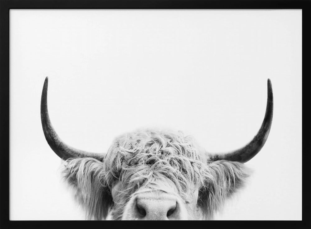 Peeking Cow BW | Poster