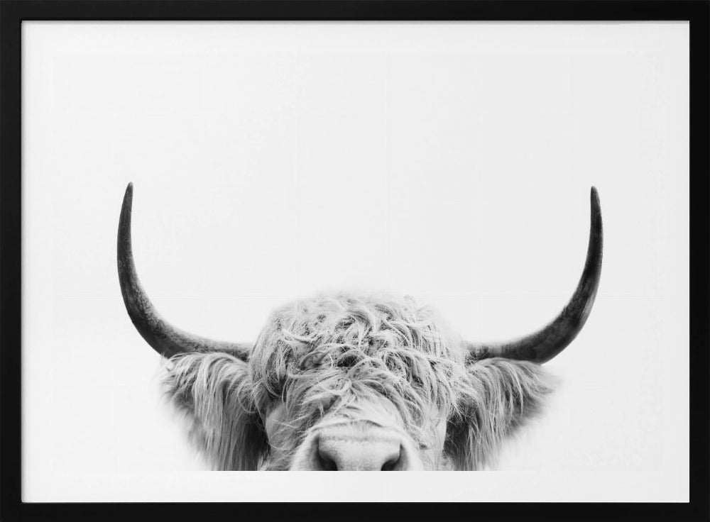 Peeking Cow BW | Poster