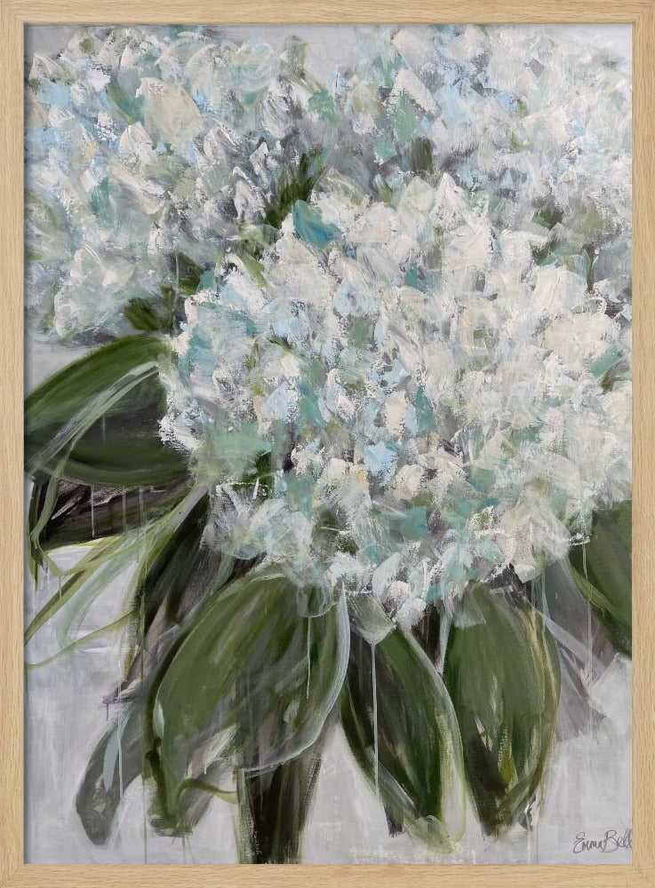 Delicate White and Blue Hydrangeas | Poster