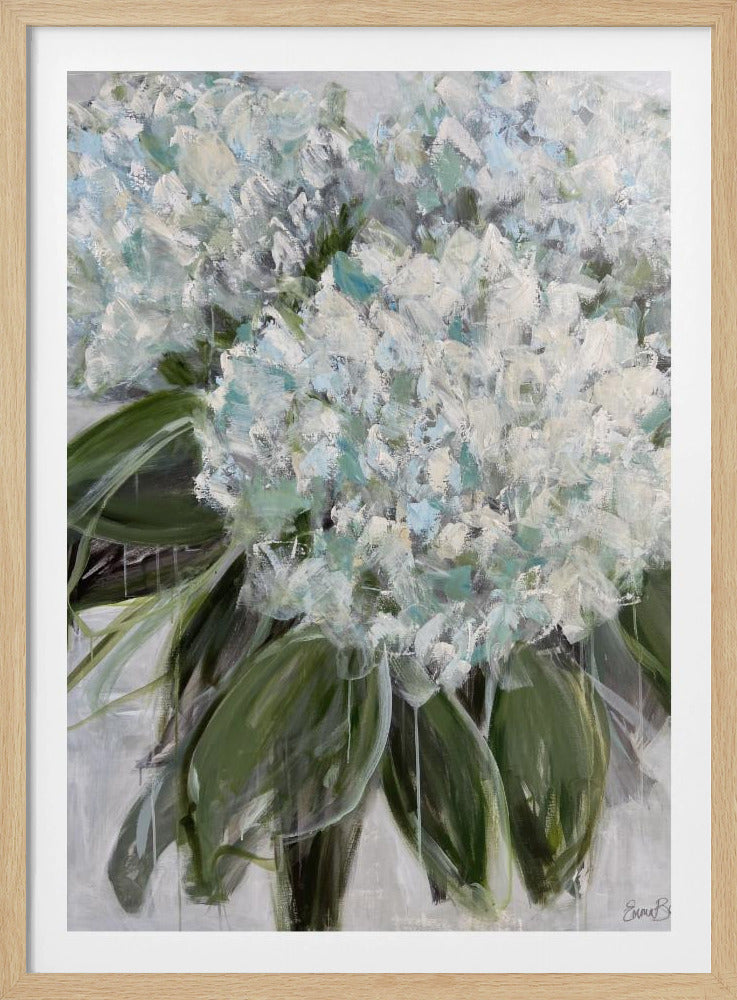Delicate White and Blue Hydrangeas | Poster