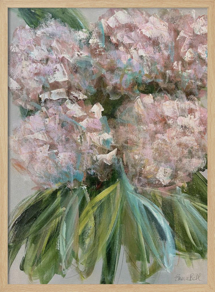 Pink Hydrangeas with Green Leaves | Poster