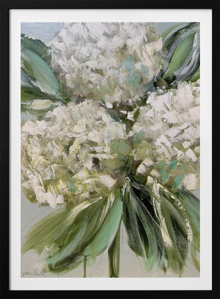 White Hydrangeas with Lush Green Leaves | Poster