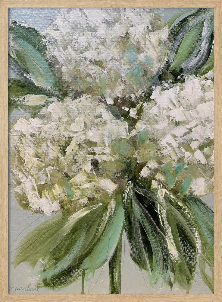 White Hydrangeas with Lush Green Leaves | Poster