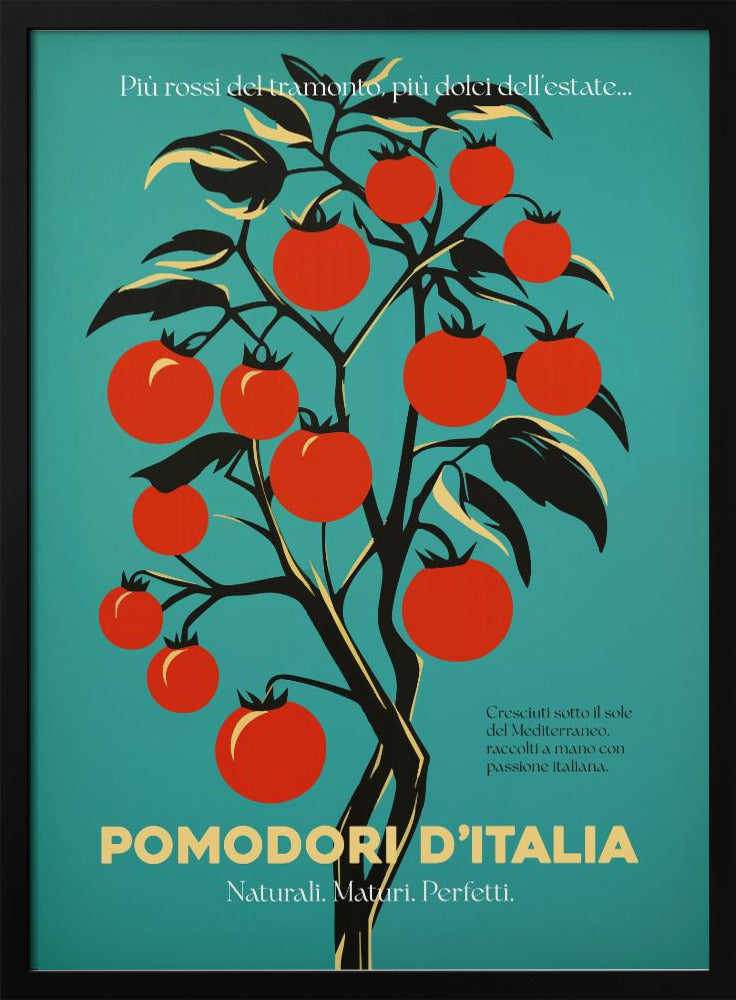 Vibrant Red Tomatoes | Poster