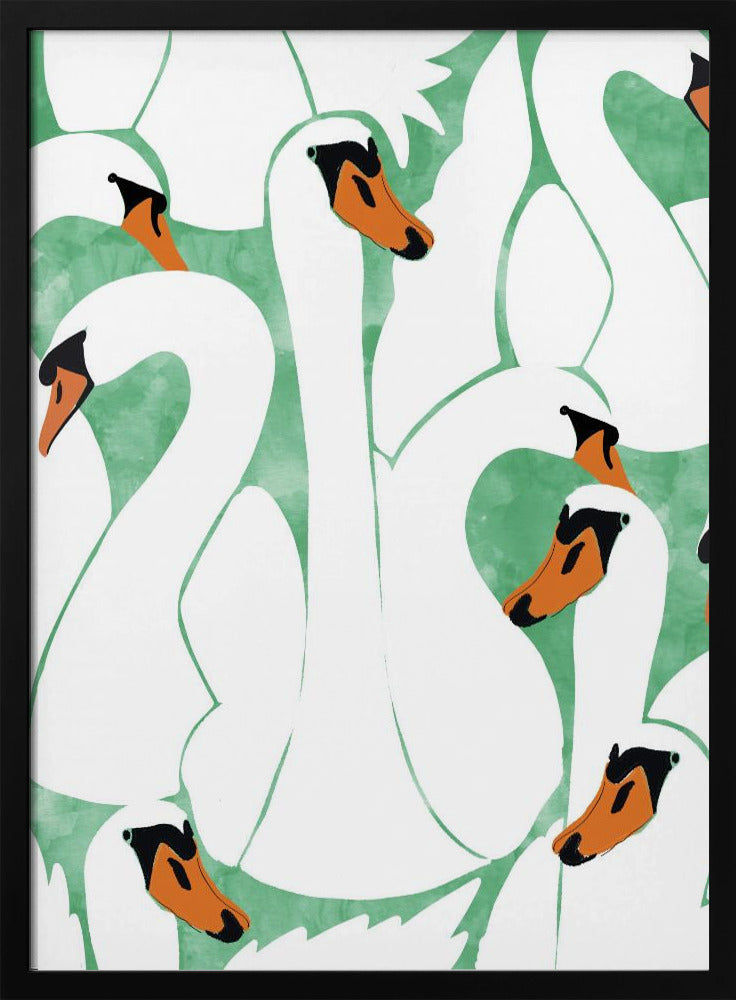 Graceful Swans | Poster