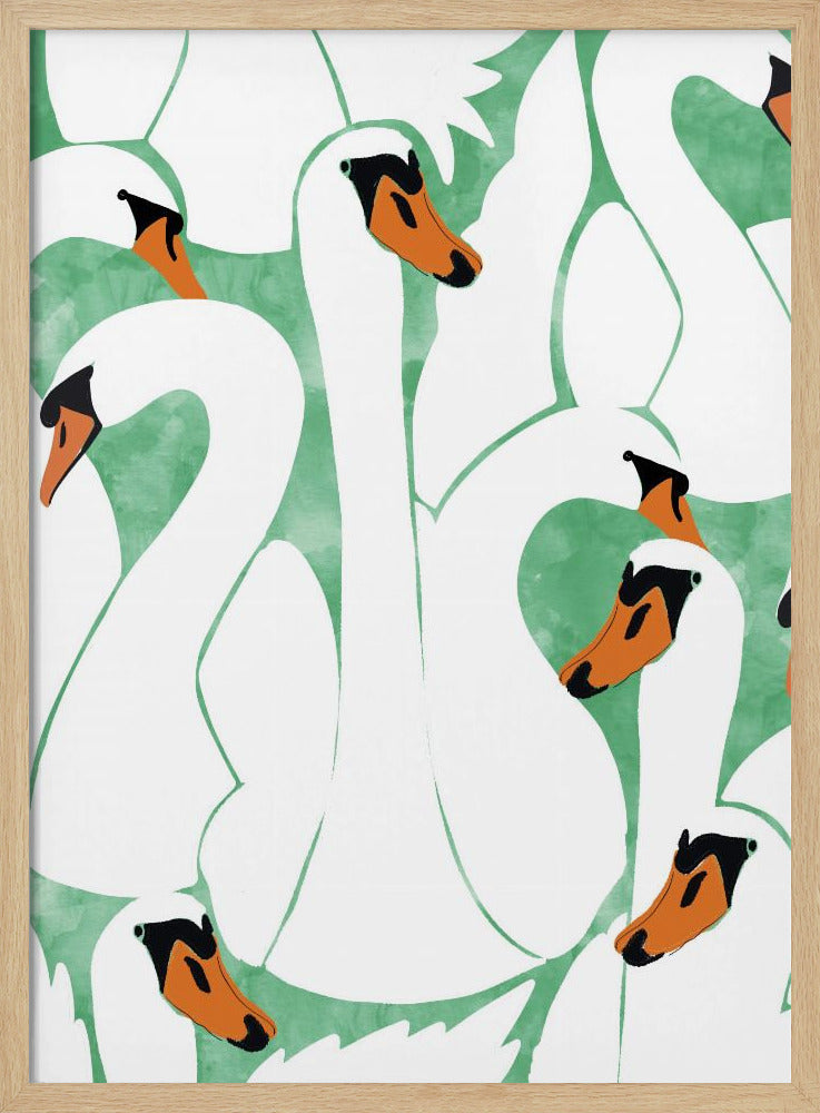 Graceful Swans | Poster