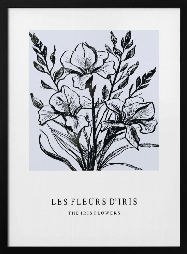 Iris Flowers In A Monochrome Illustration | Poster