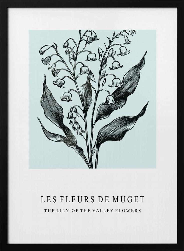 Lily of the Valley Flowers In A Monochrome Illustration | Poster