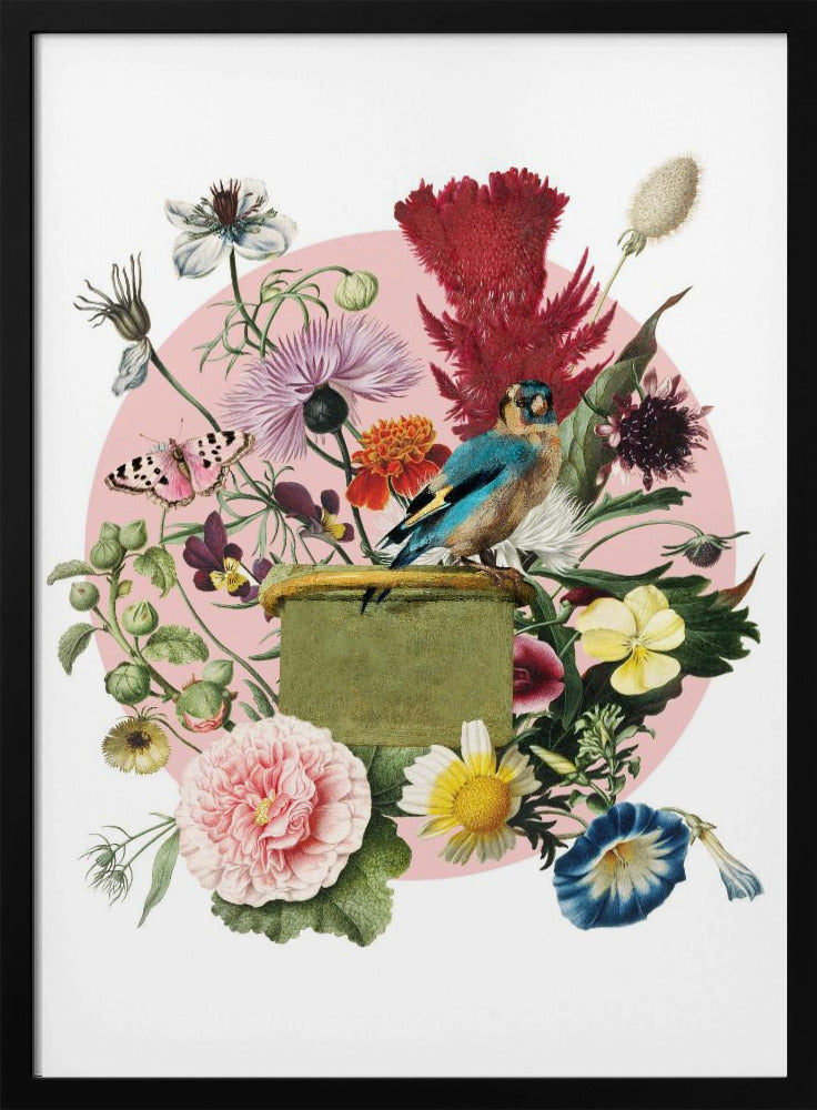 Colorful Bird Perched On A Box | Poster