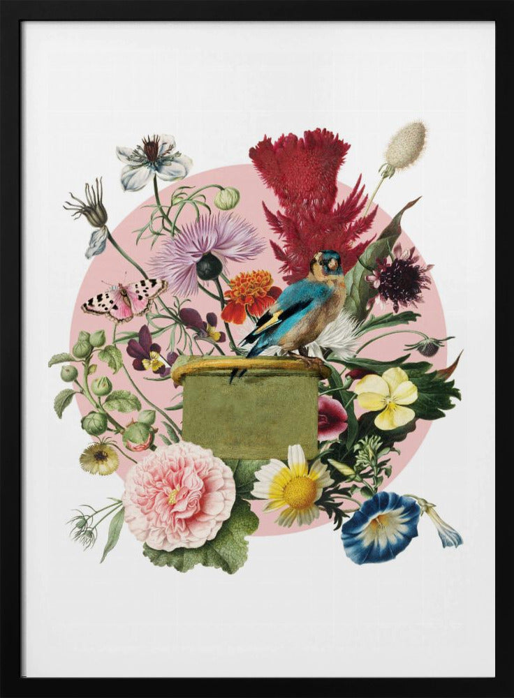 Colorful Bird Perched On A Box | Poster