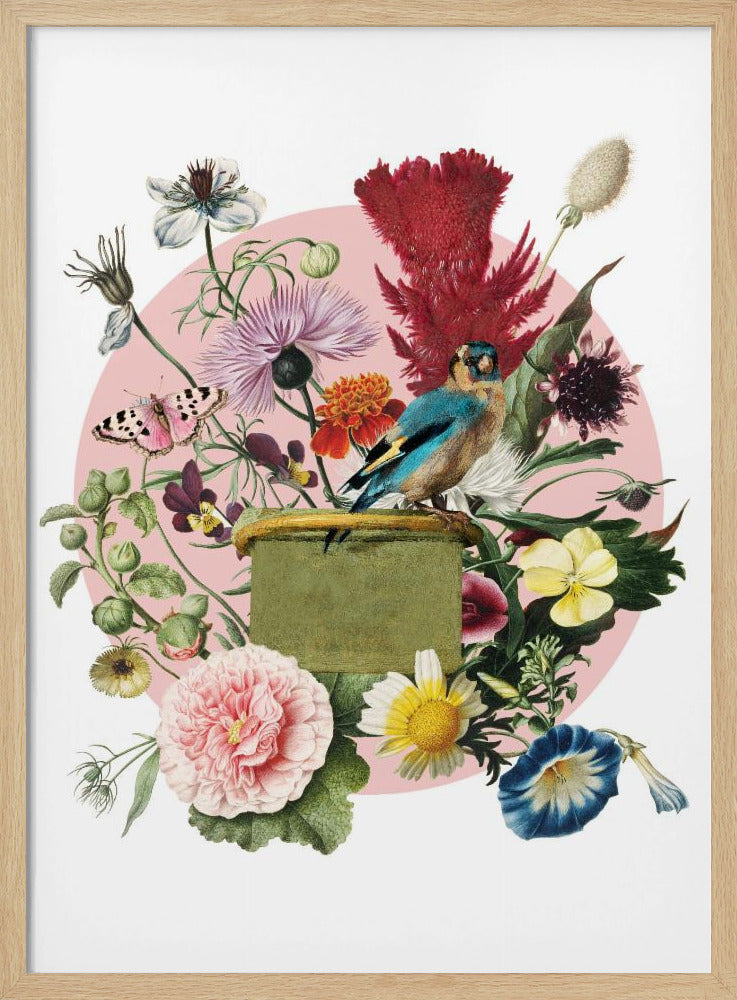 Colorful Bird Perched On A Box | Poster