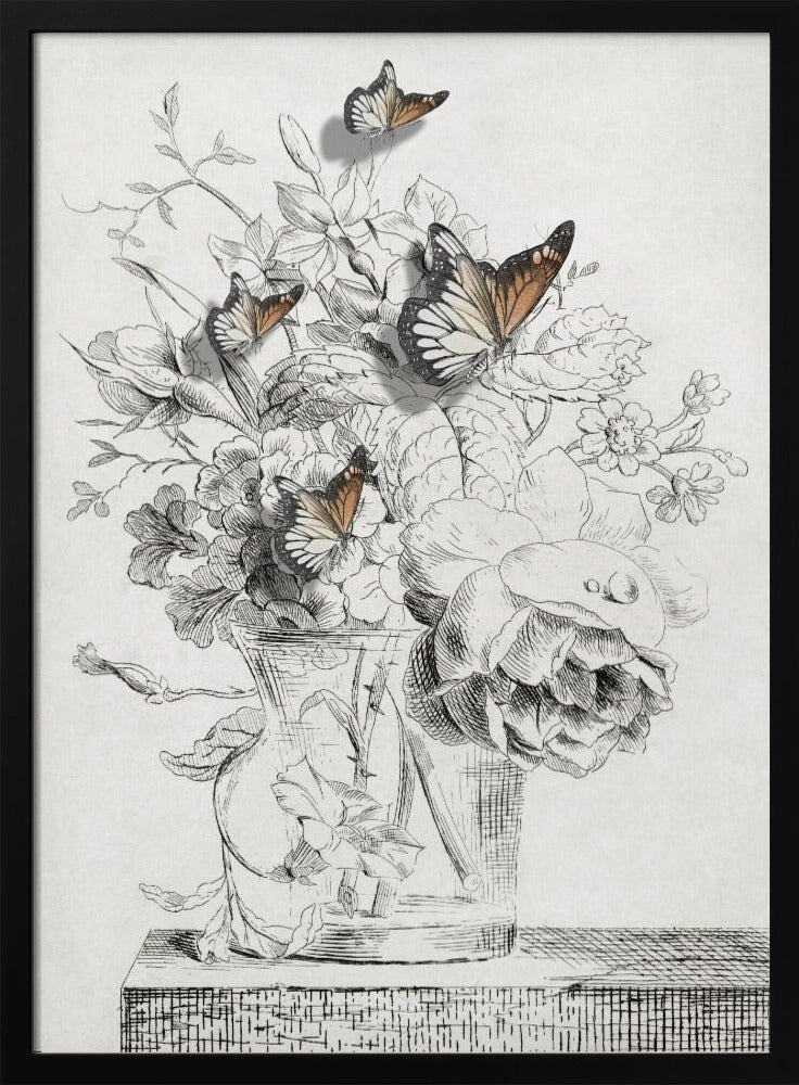 The Butterflies &amp