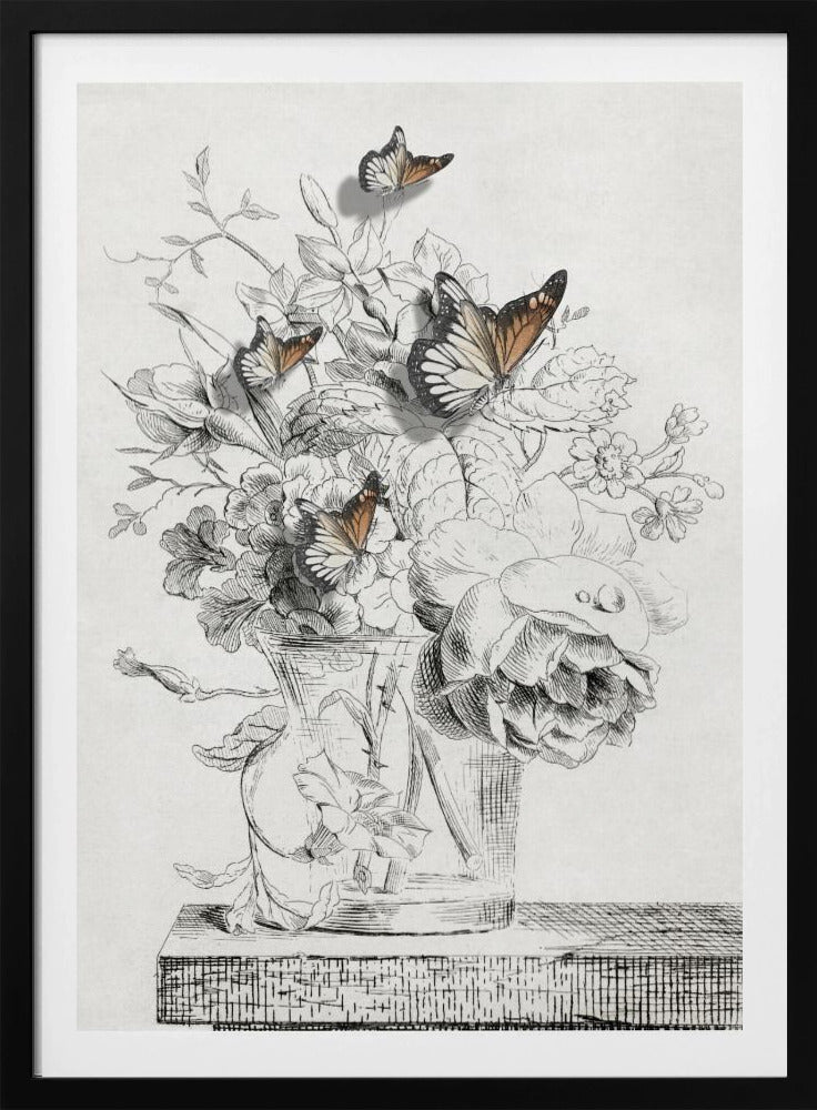 The Butterflies &amp