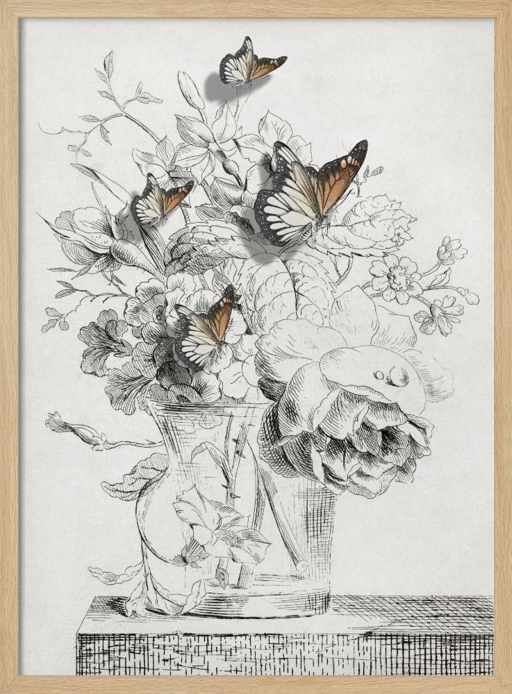 The Butterflies &amp