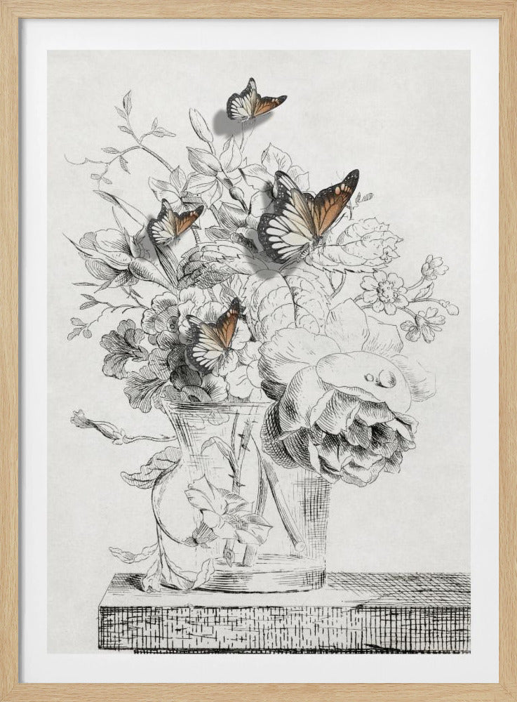 The Butterflies &amp