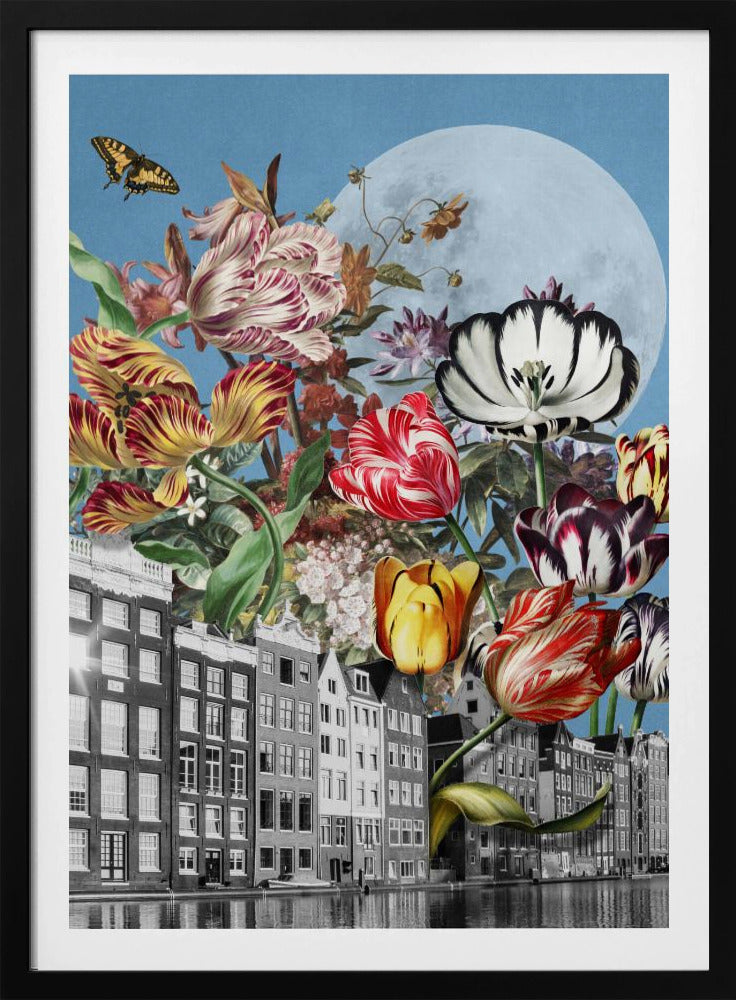 Vibrant Tulips And Intricate Butterflies | Poster
