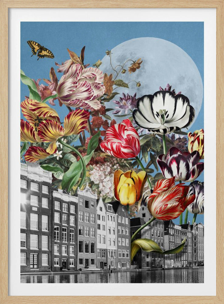 Vibrant Tulips And Intricate Butterflies | Poster
