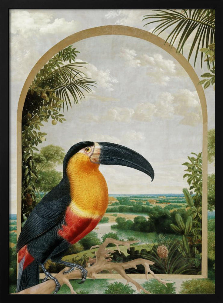 Toucan Perched on a Branch | Poster