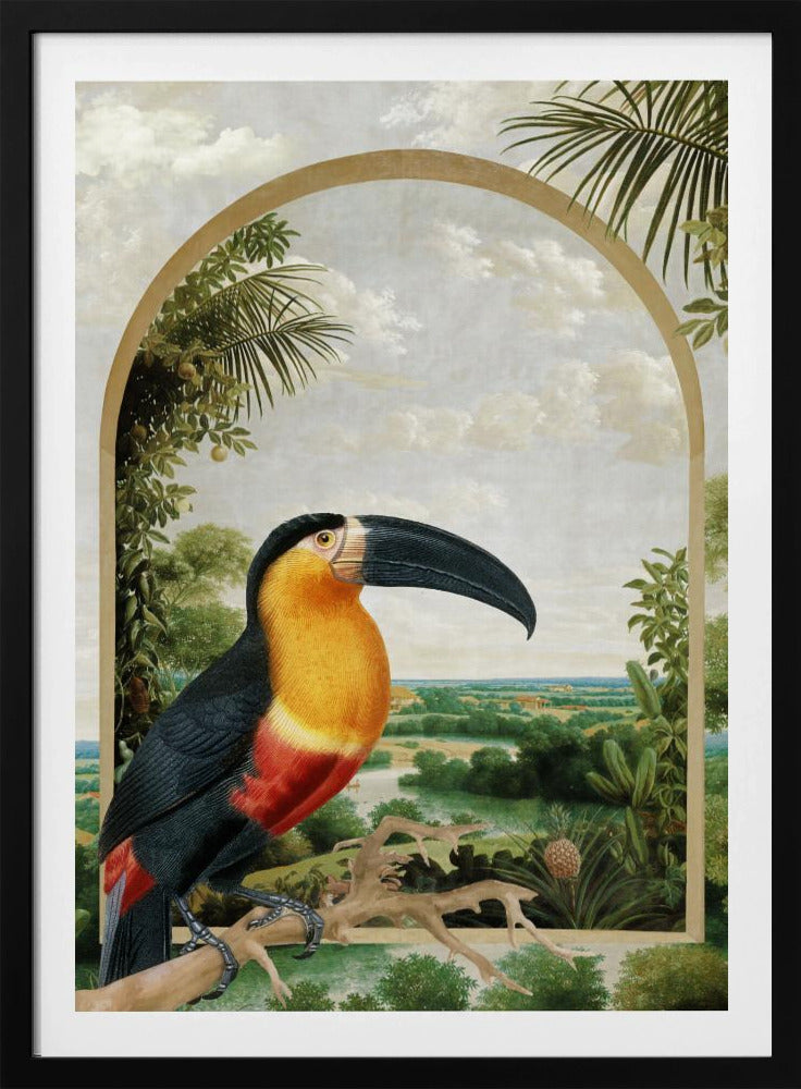 Toucan Perched on a Branch | Poster
