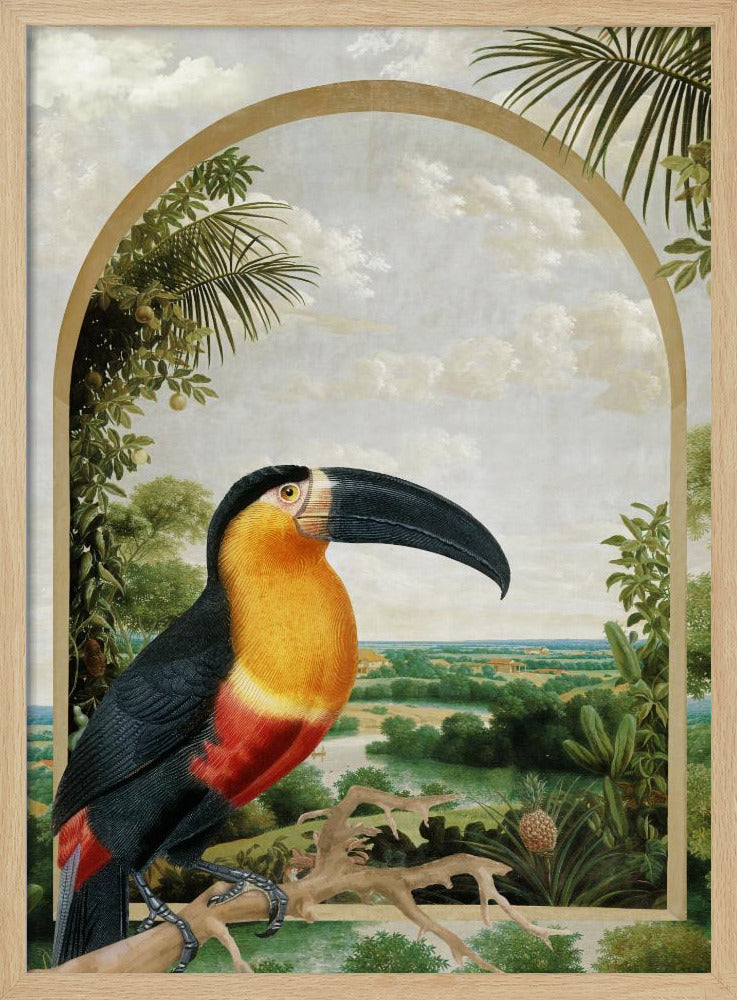 Toucan Perched on a Branch | Poster