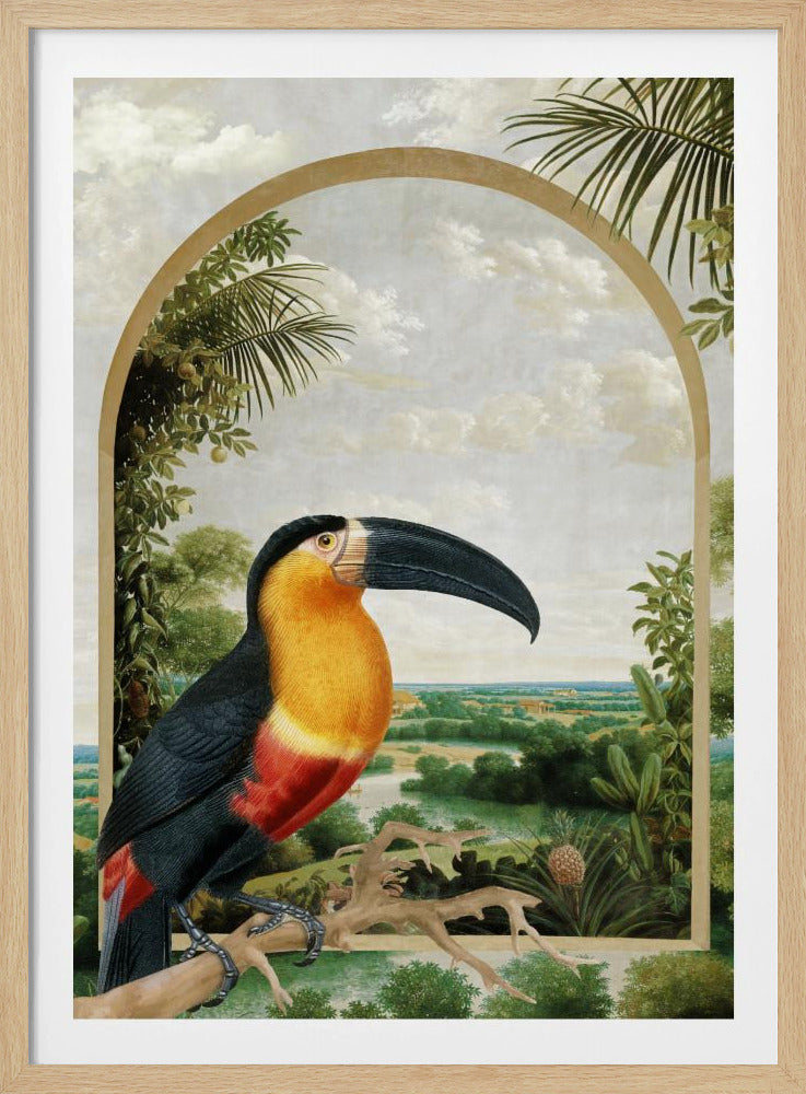 Toucan Perched on a Branch | Poster