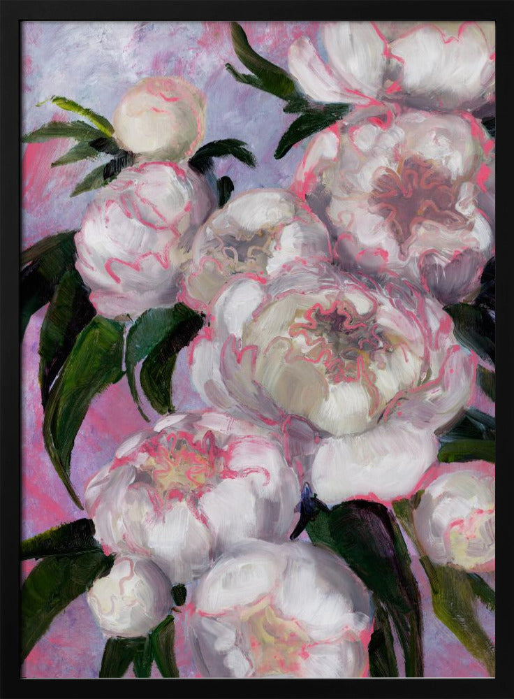 White Peonies With Pink Highlights | Poster