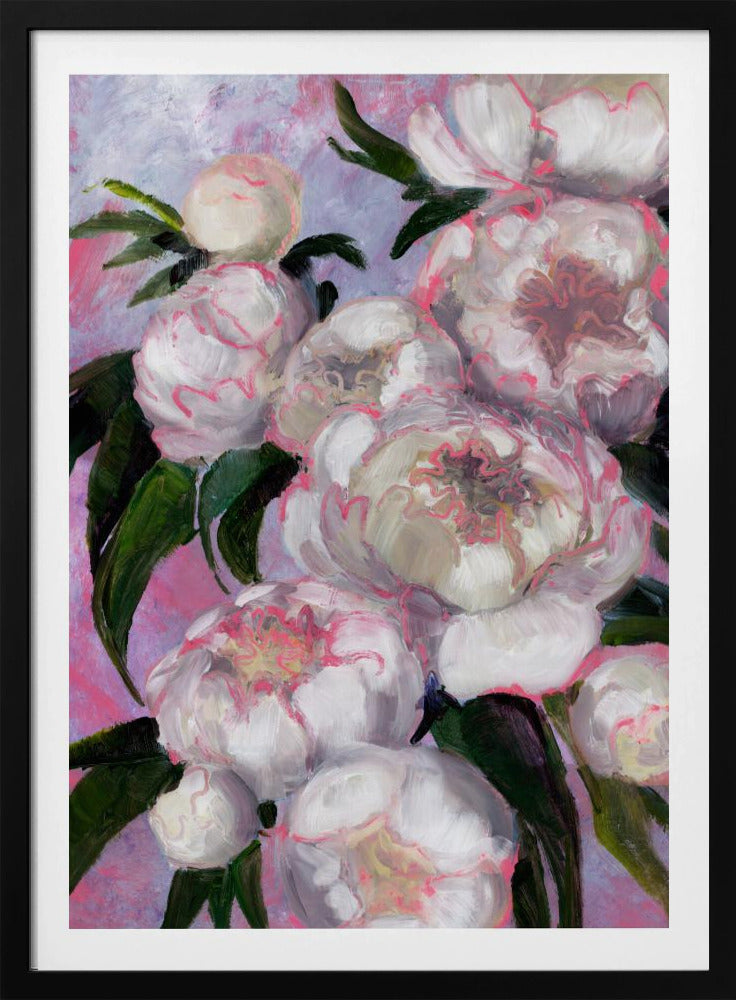 White Peonies With Pink Highlights | Poster