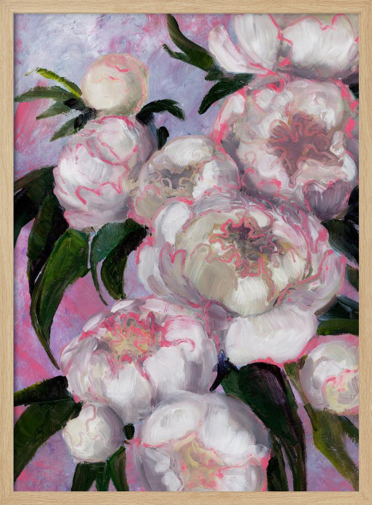 White Peonies With Pink Highlights | Poster