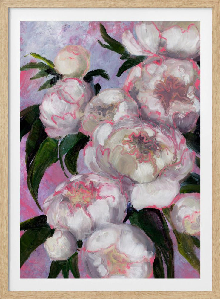 White Peonies With Pink Highlights | Poster