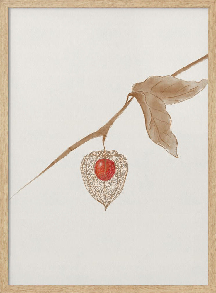 Groundcherry | Poster