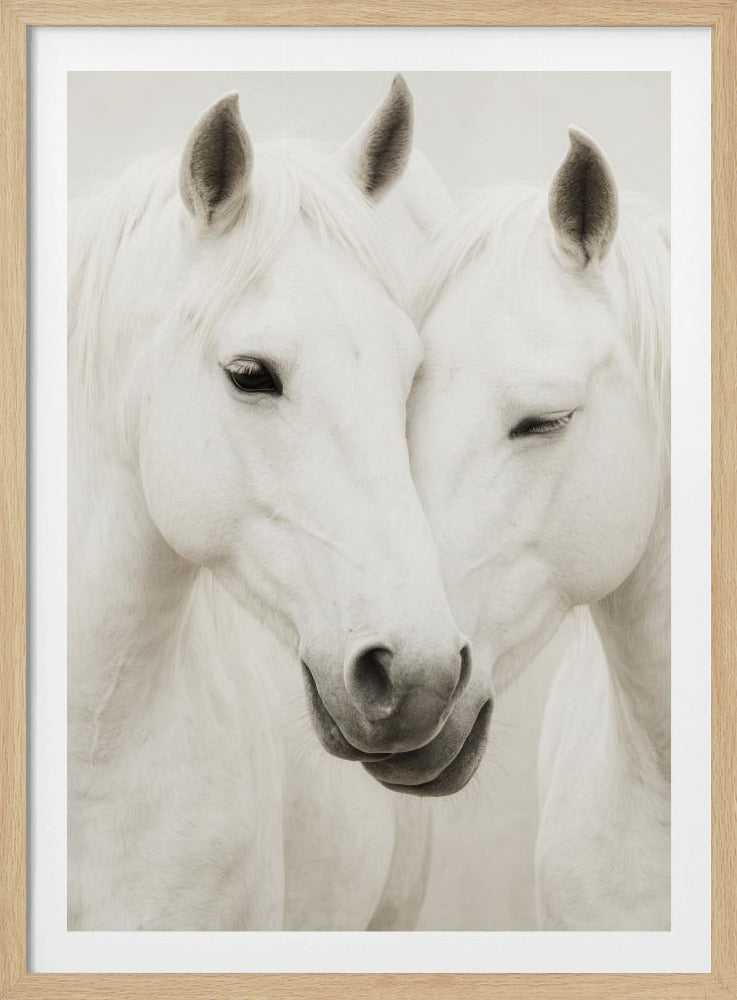Equine Embrace | Poster
