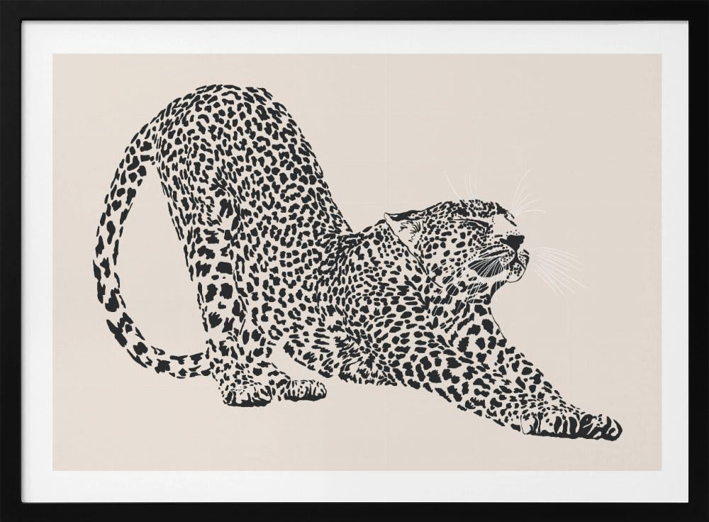 Cheetah | Poster