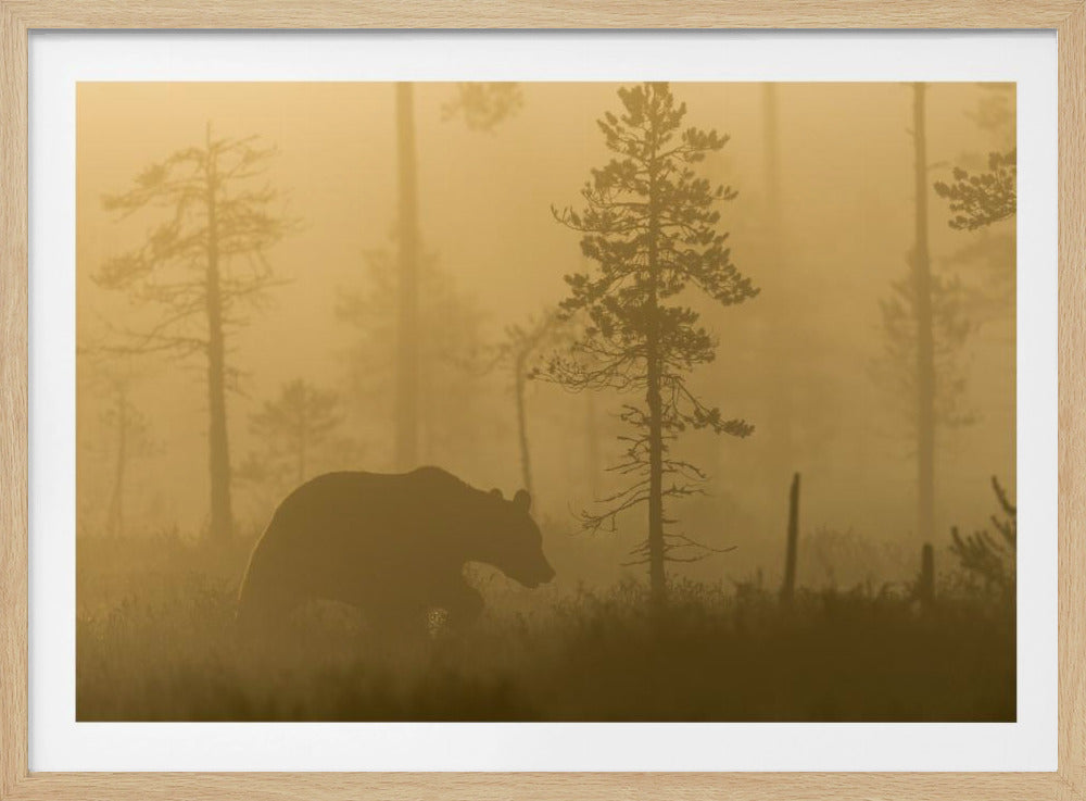 Morning Fog | Poster