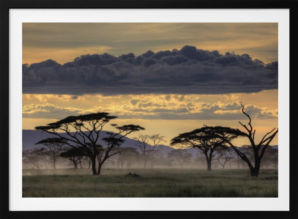 Good evening tanazania | Poster