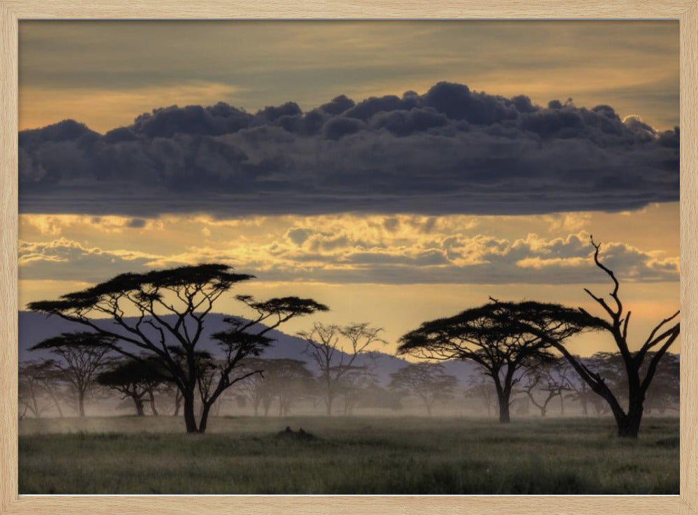 Good evening tanazania | Poster