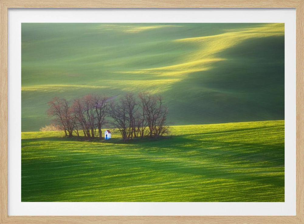 Fields... | Poster