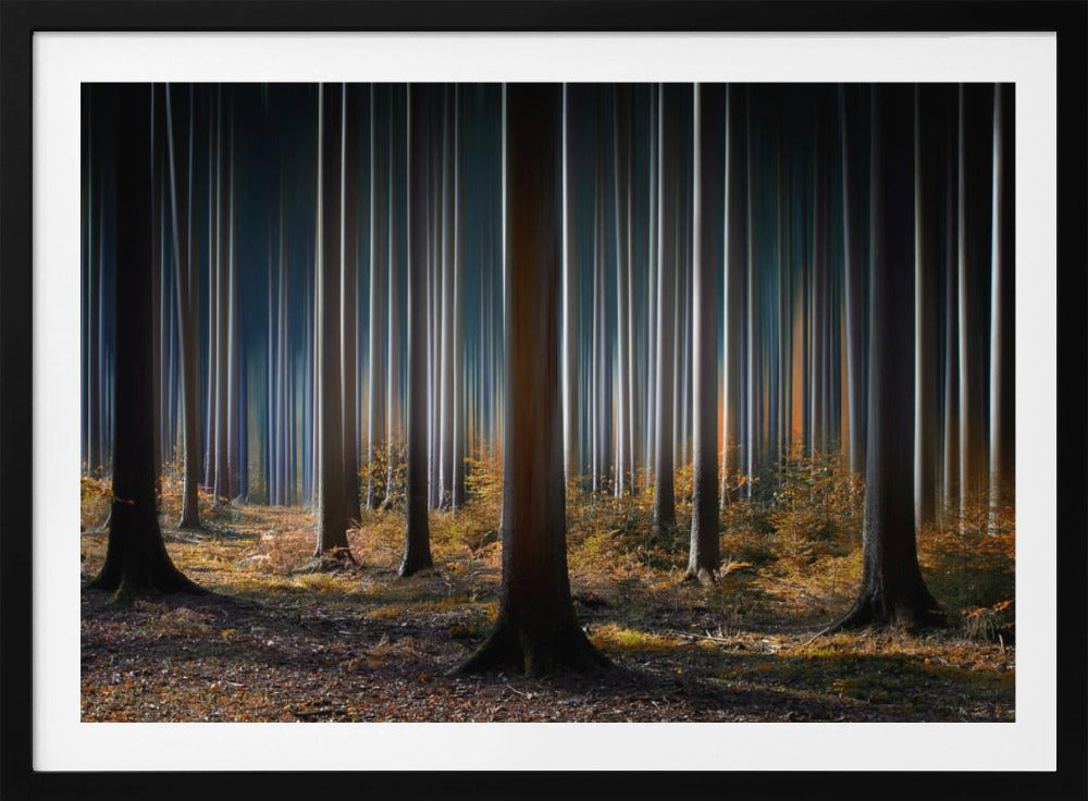 Mystic Wood | Poster