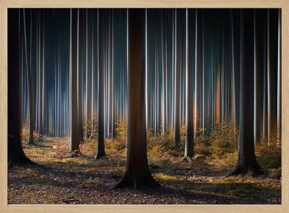 Mystic Wood | Poster