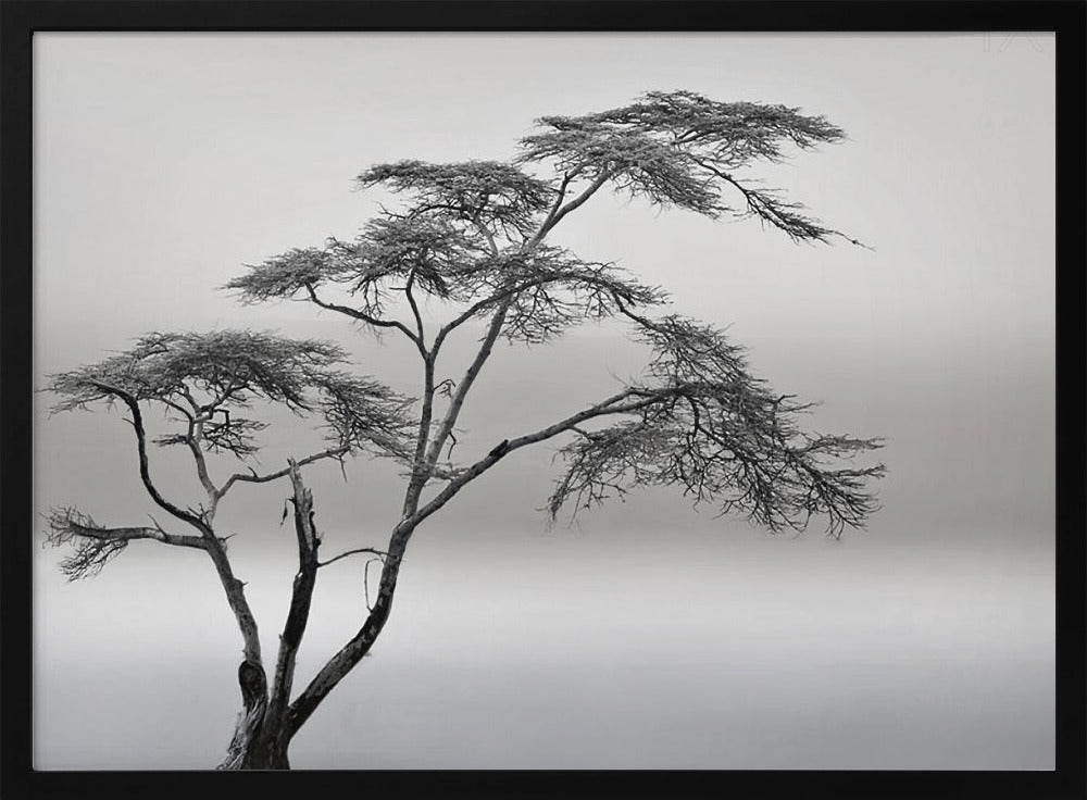 a very long story | Poster