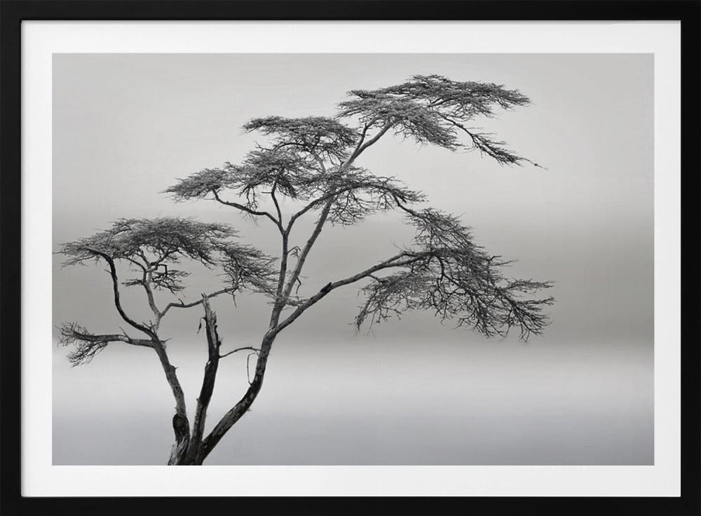 a very long story | Poster