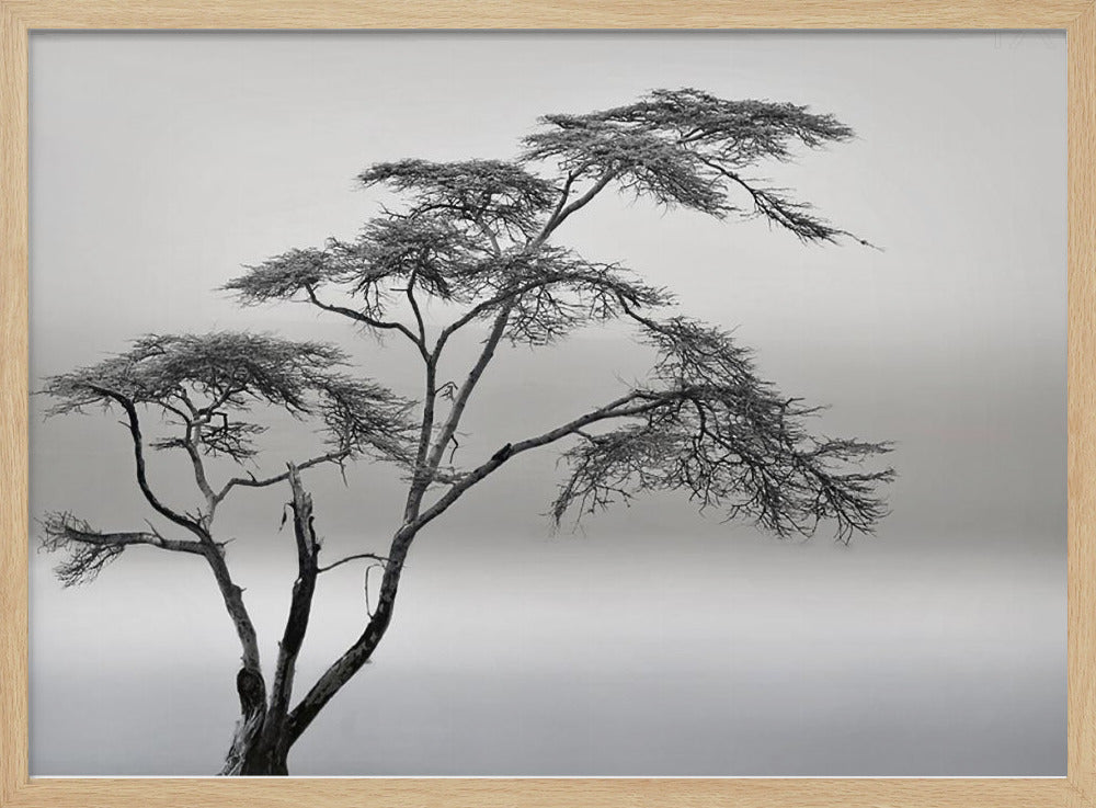 a very long story | Poster