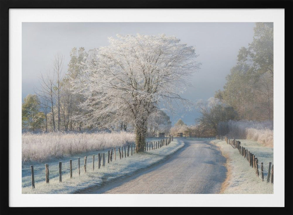 A Frosty Morning | Poster