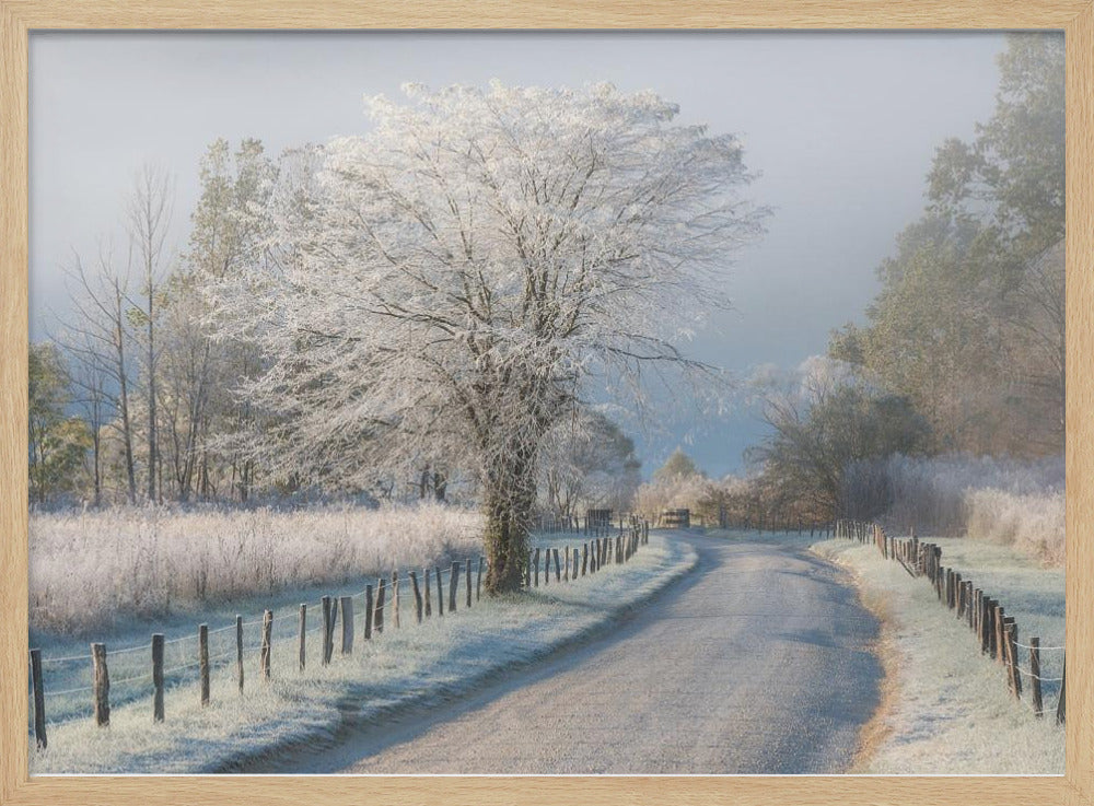 A Frosty Morning | Poster