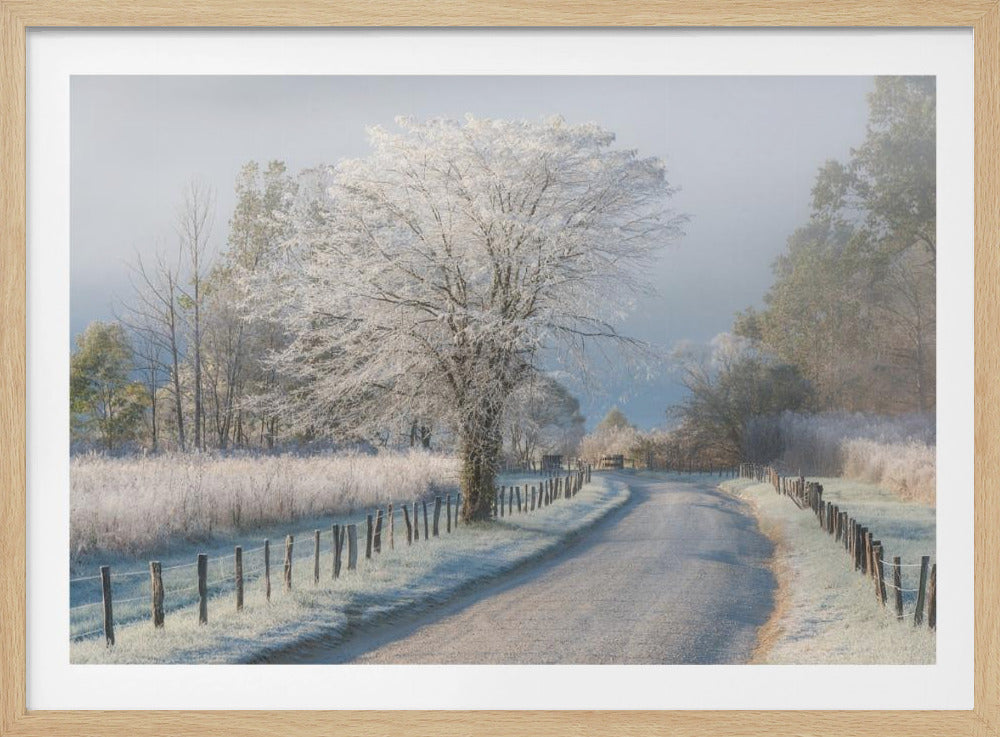 A Frosty Morning | Poster